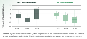 Gráfica 3. Respuesta serológica de los lechones a 21, 58 y 98 días postvacunación. Lote 1: antes de la vacunación de las cerdas. Lote 2: lechones de cerdas vacunadas. Las letras (a, b) indican diferencias estadísticamente significativas entre grupos en cada punto de muestreo (p < 0,05).
