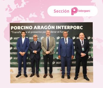 foro porcino
