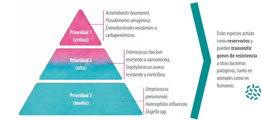 VIGILANCIA Y BACTERIAS PRIORITARIAS