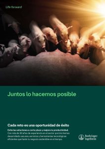 Vacunacion-PRRS-PCV2-BOEHRINGER_pages-to-jpg-0008