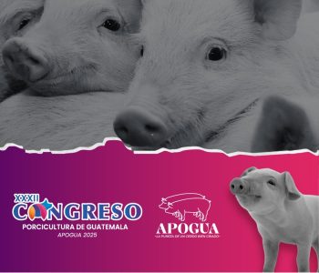 XXXII Congreso Porcicultura de Guatelama