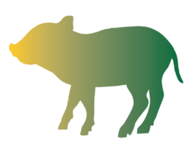 cerdo