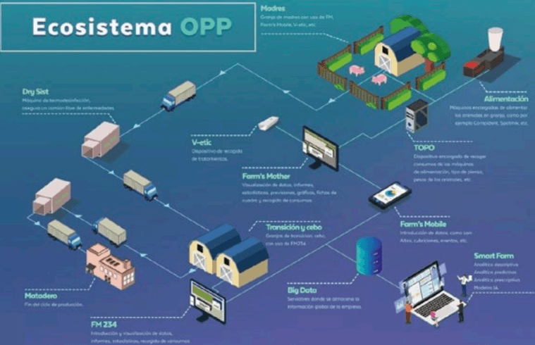ecosistema OPP