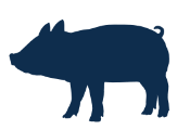 emoji cerdo