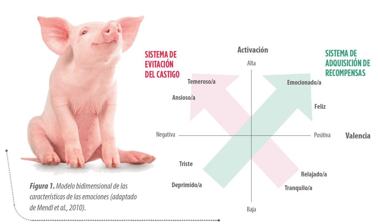 fig1