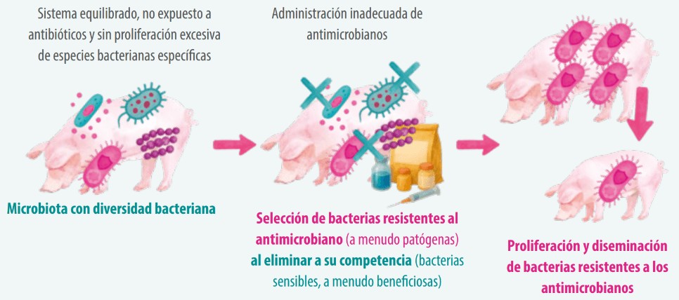 figura 1 