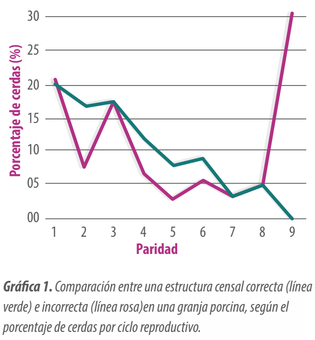 grafica