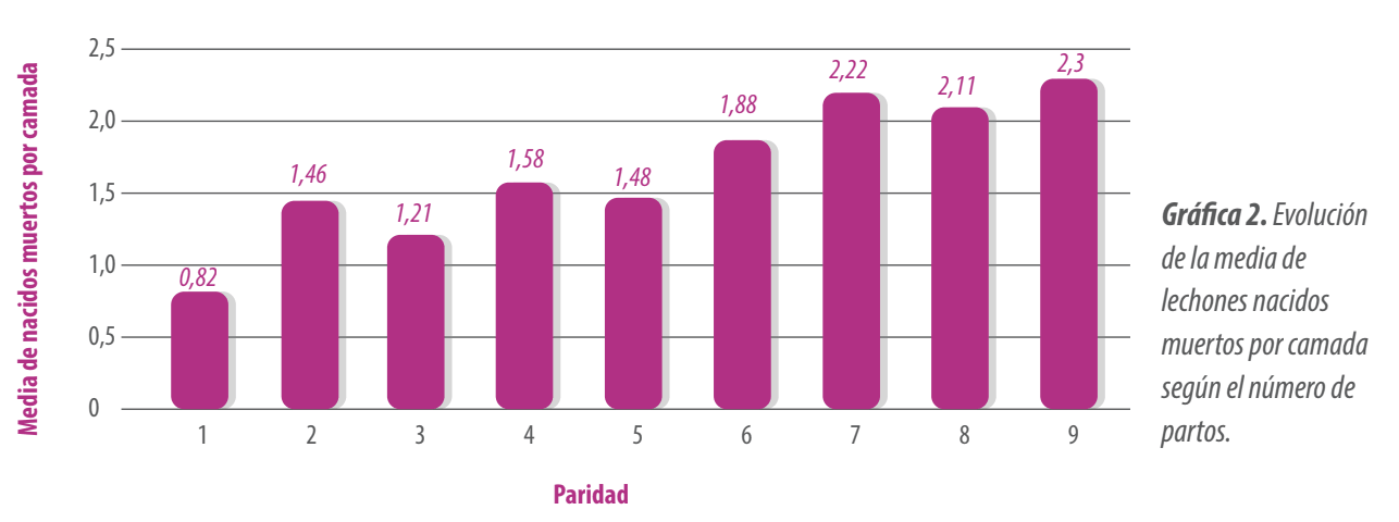 paridad