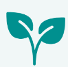 planta 