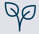 planta