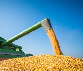 El Gobierno de Argentina fijó retenciones cero a los granos hasta el 31 de octubre, medida que influye en los costos de alimentación porcina.
