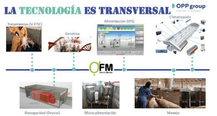 tecnologia transversal