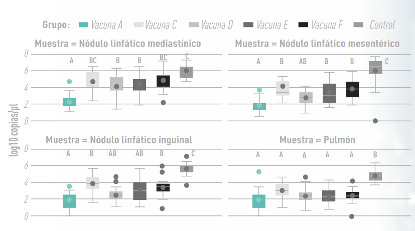 Gráfica 11