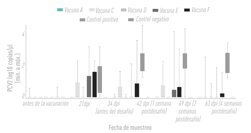 Gráfica 5