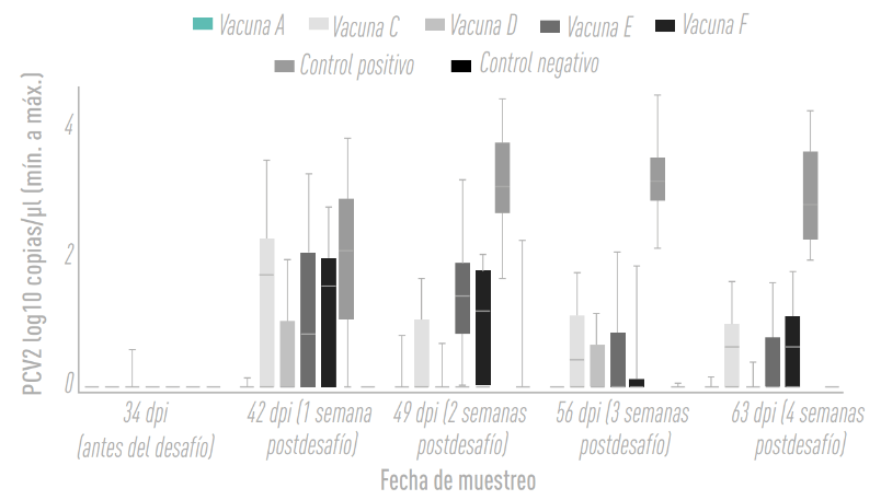 Gráfica 7