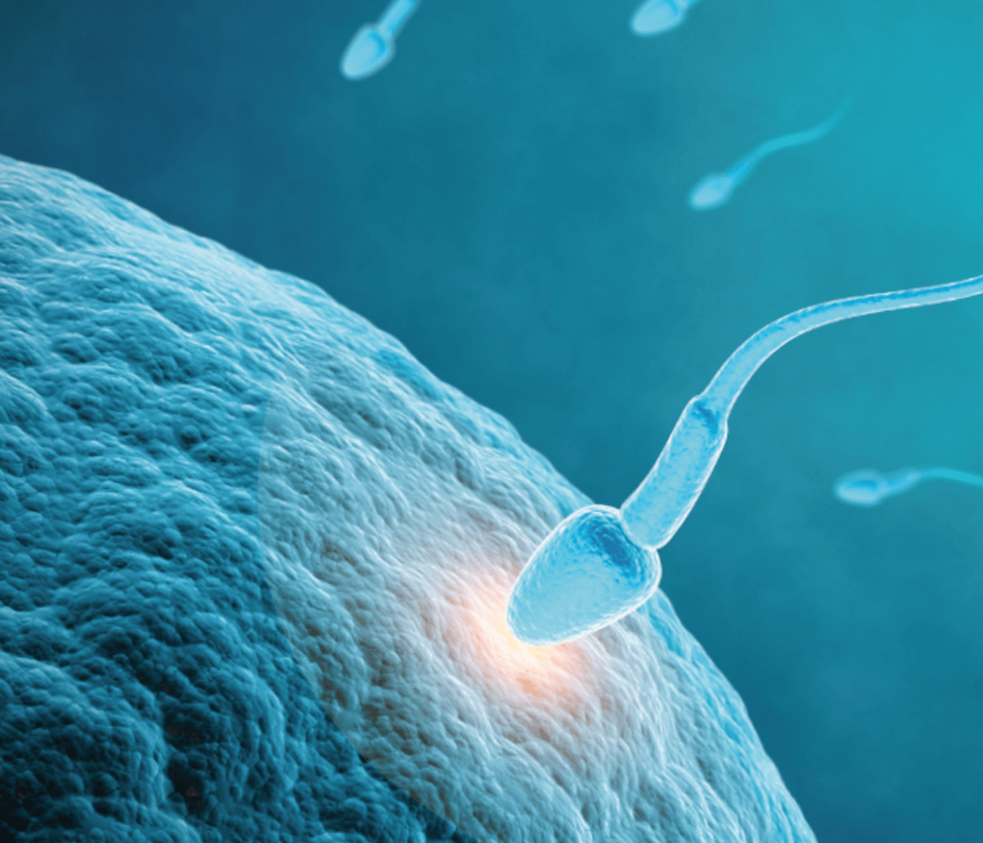 Sistema multidosis de inseminación artificial: cómo optimizar la reproducción