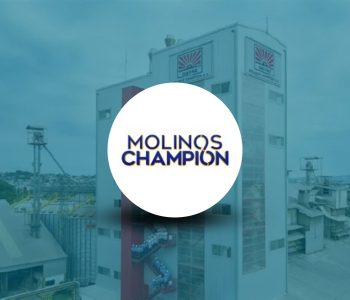 Molinos Champion Ecuador avanza en un plan para cuadruplicar su producción porcina mediante un modelo sostenible y de economía circular.