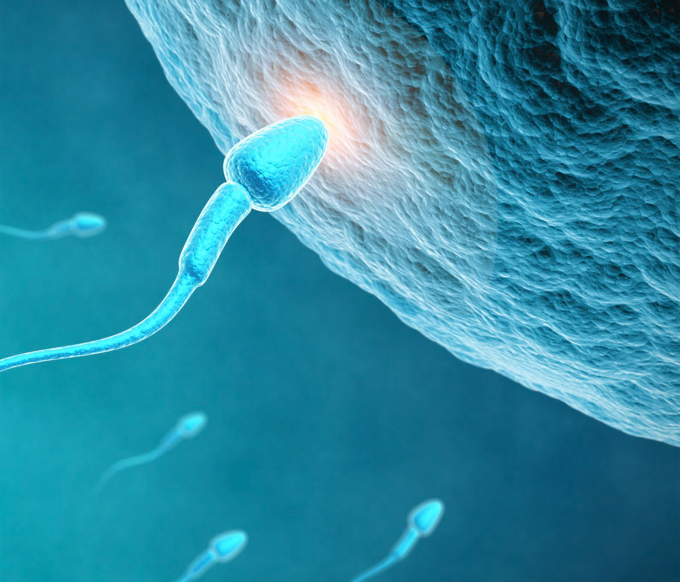 Sistema multidosis de inseminación artificial: cómo optimizar la reproducción