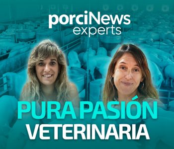 En este capítulo de porciNews Experts conversamos con Sara Crespo sobre las cerdas del futuro o la alimentación de precisión, entre otros.