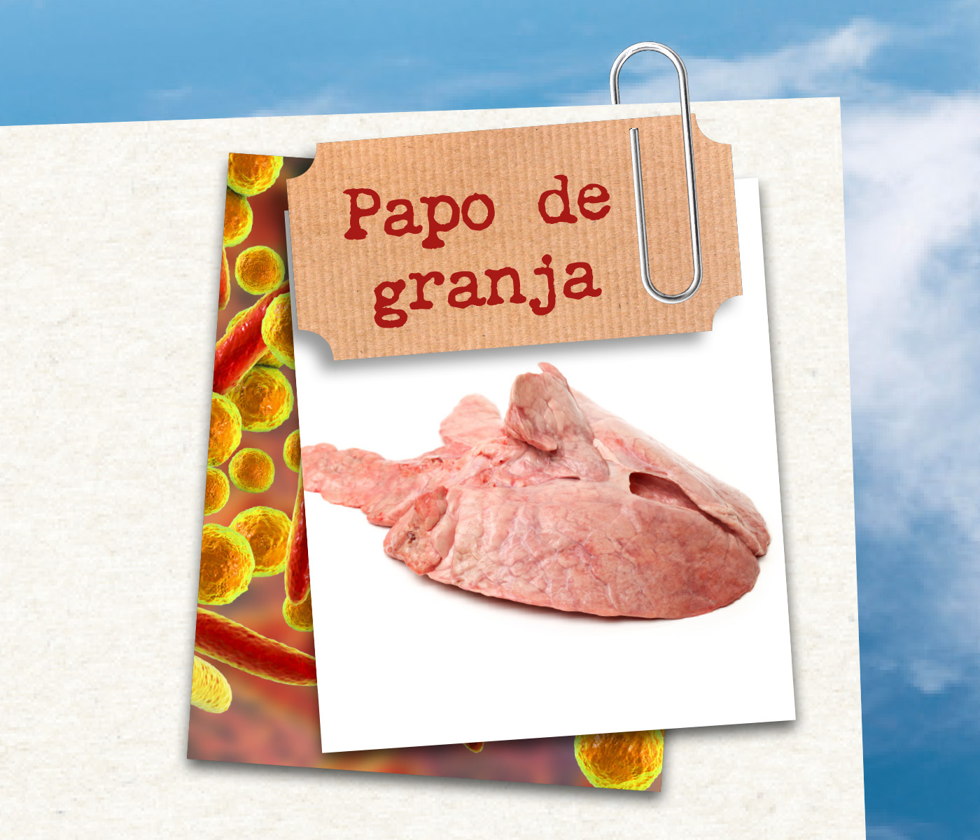 Quando a tosse custa caro: por que manter a granja livre de Mycoplasma faz diferença?