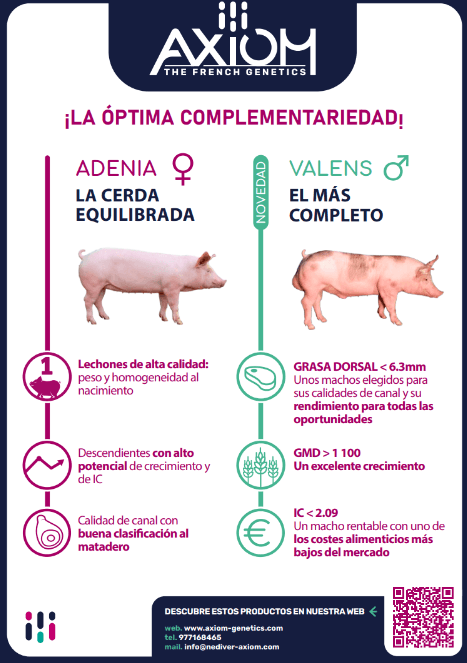 Anuncio