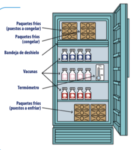 Organización Nevera