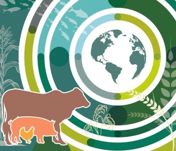 El informe OCDE-FAO proyecta un aumento del consumo y producción de carne, con América Latina destacando en el crecimiento del sector.