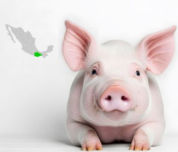 Conversatorio de Integración Porcina destaca a Puebla y a Jalisco para fortalecer Oaxaca
