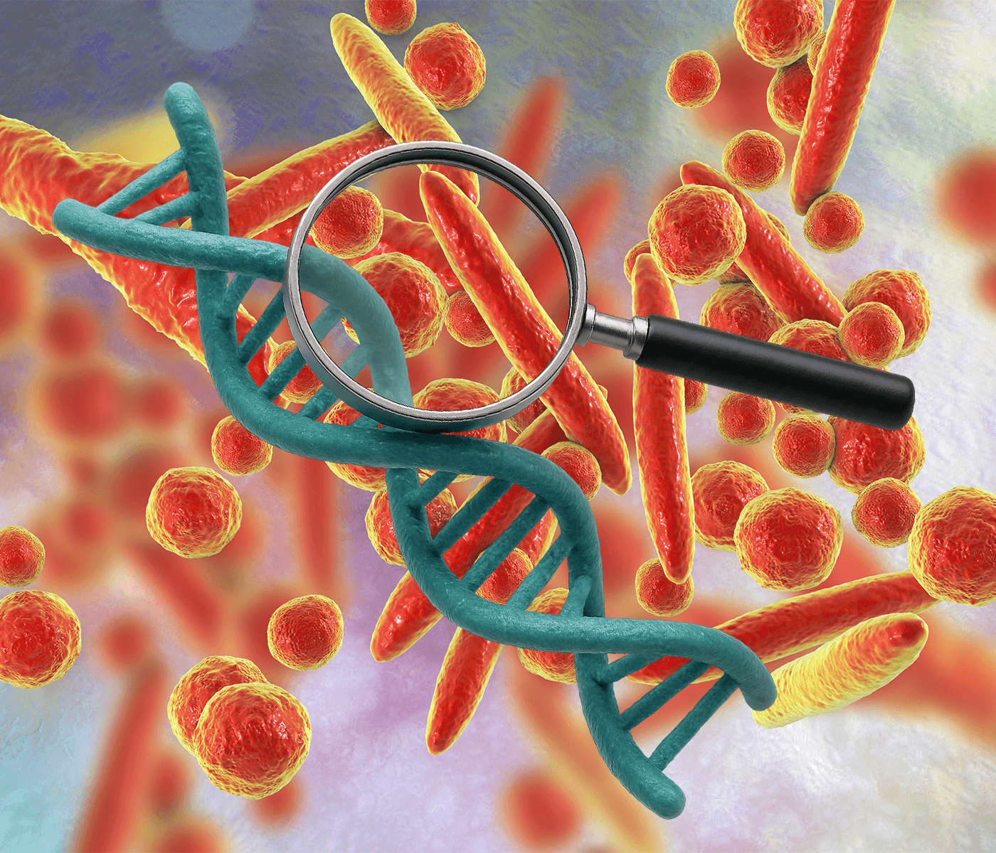 Resistencia antimicrobiana en Mycoplasma: avances en detección molecular y su...