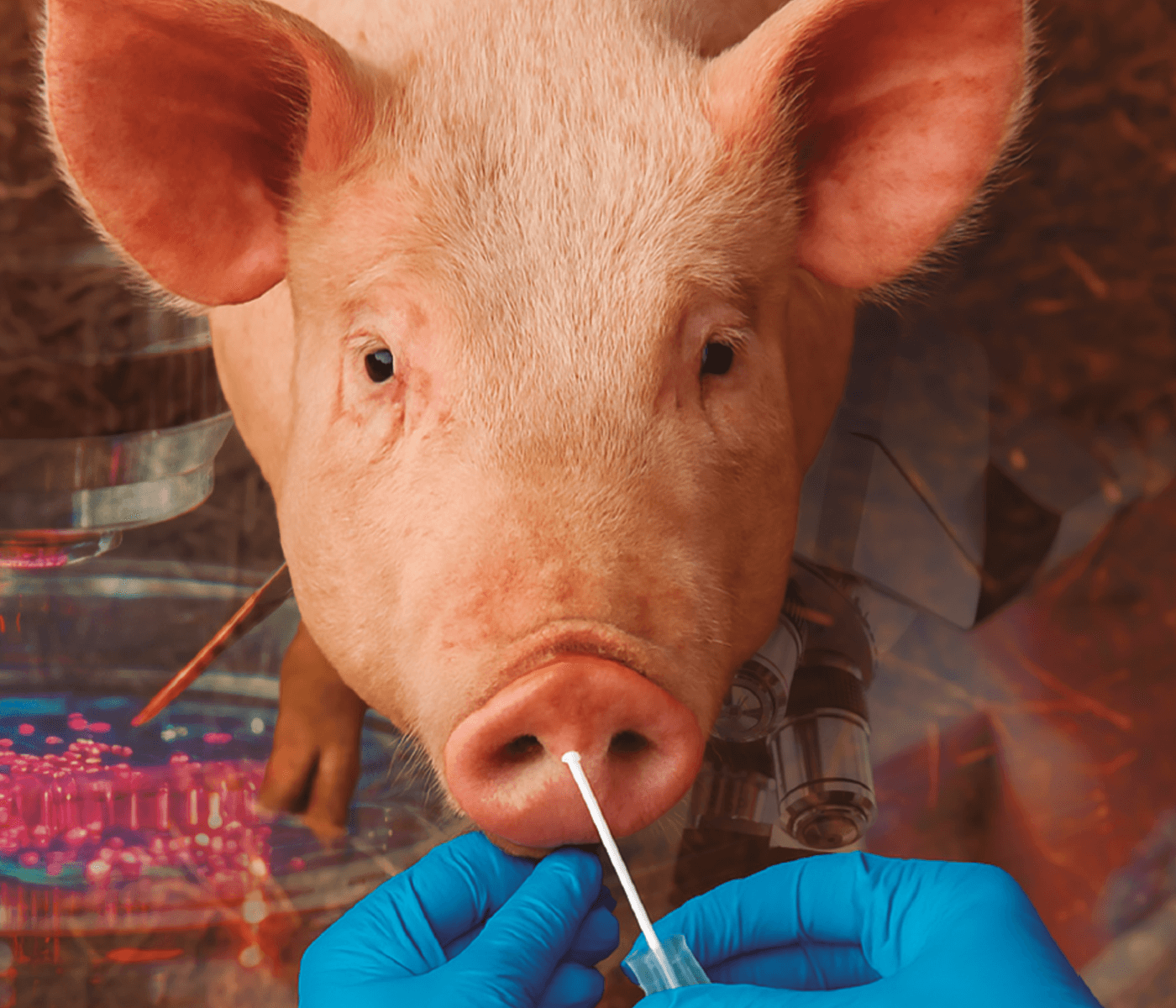 Toma de muestras a nivel de campo: el primer eslabón para alcanzar un buen diagnóstico laboratorial