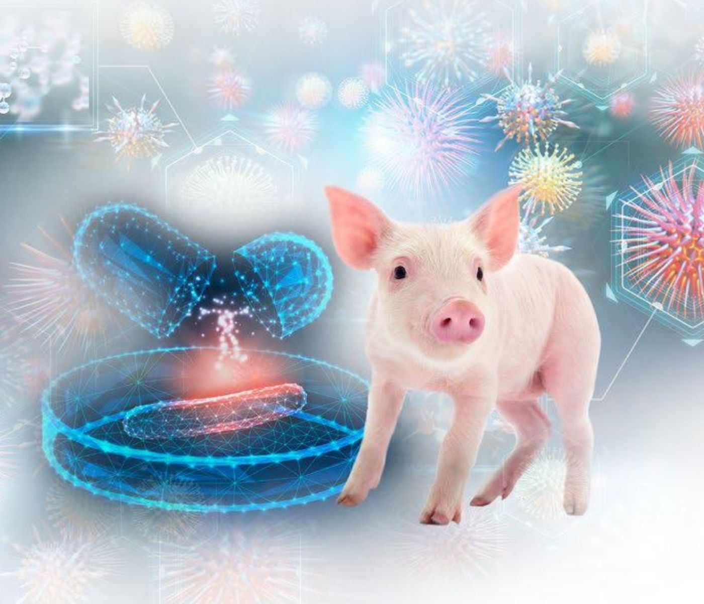 El uso racional de antimicrobianos en el sector porcino en Latinoamérica: lineamientos y avances