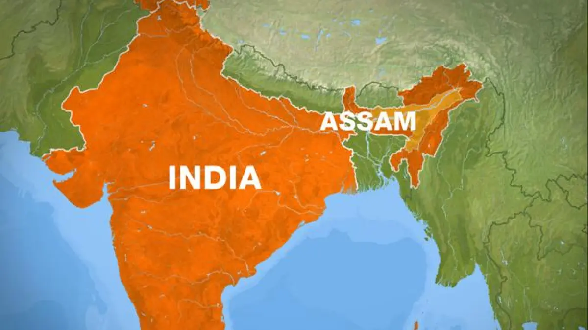 India’s Assam bans inter-district movement of live pigs due to ASF