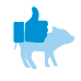 cerdo-cheack