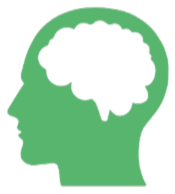 cerebro 