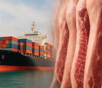 Las exportaciones brasileñas de carne de cerdo crecieron 10,1% en octubre, el segundo mejor resultado histórico.