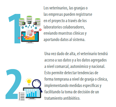 figura1y2