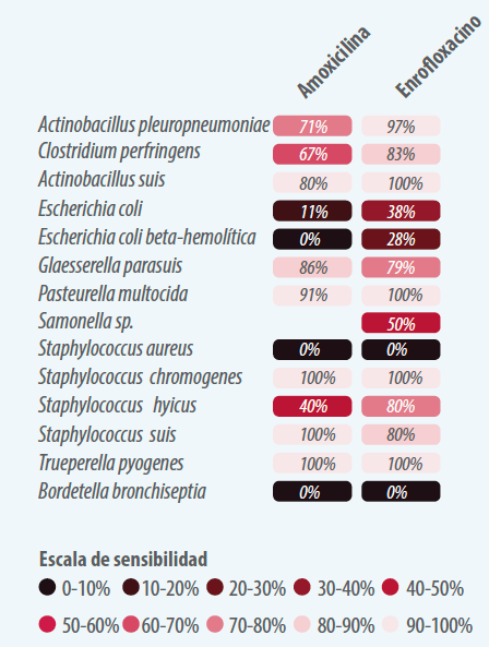 figura4