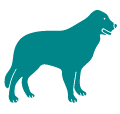icono-perro
