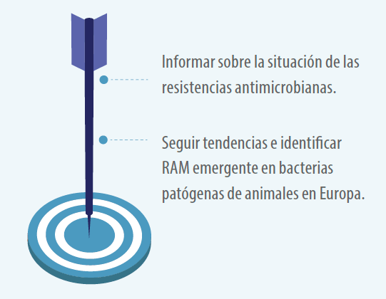 imagen-flecha