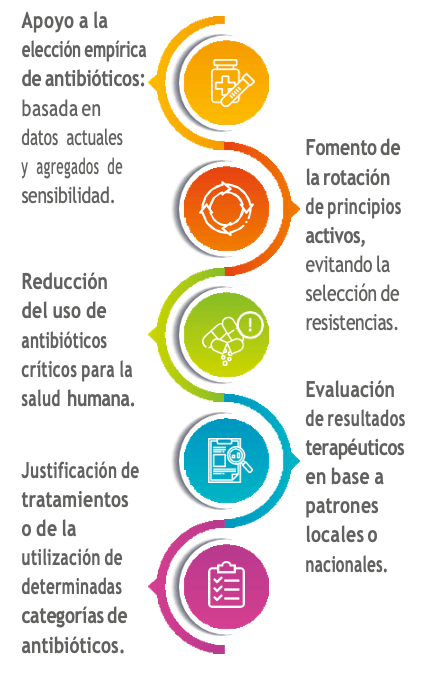 imagen1