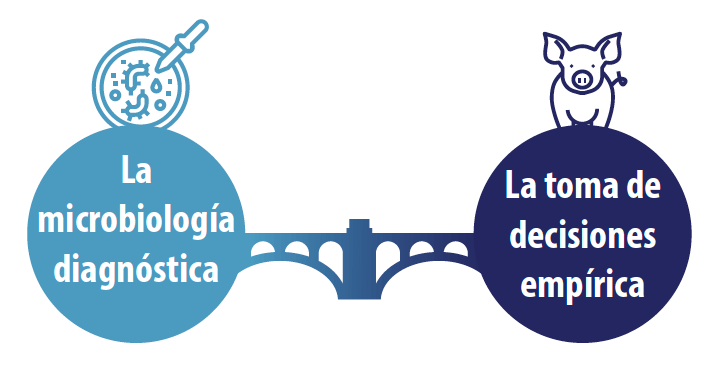 mapa-epidemiologico