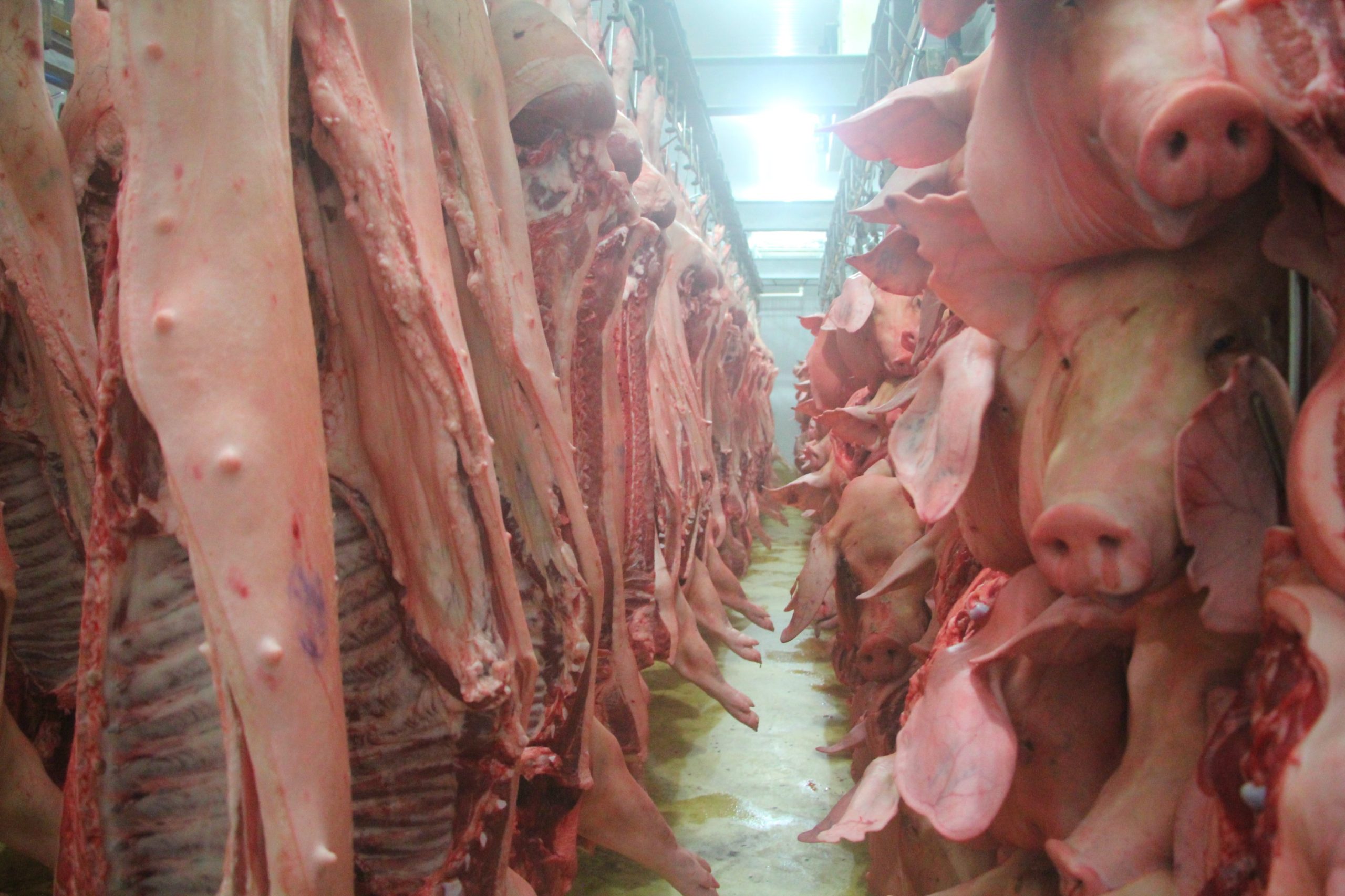 Philippines cracks down on mislabeling of frozen meat