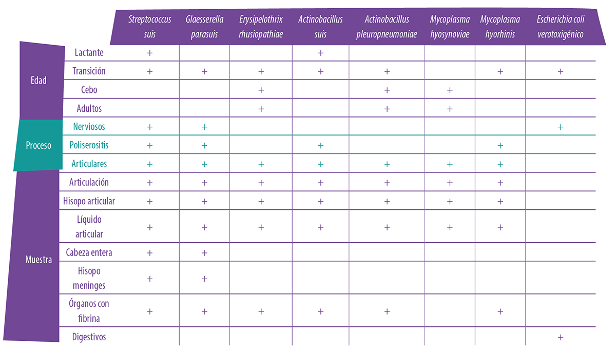 tabla2