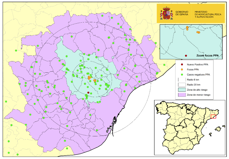 La Generalitat detecta un nuevo foco primario de Peste Porcina Africana (PPA) en jabalíes