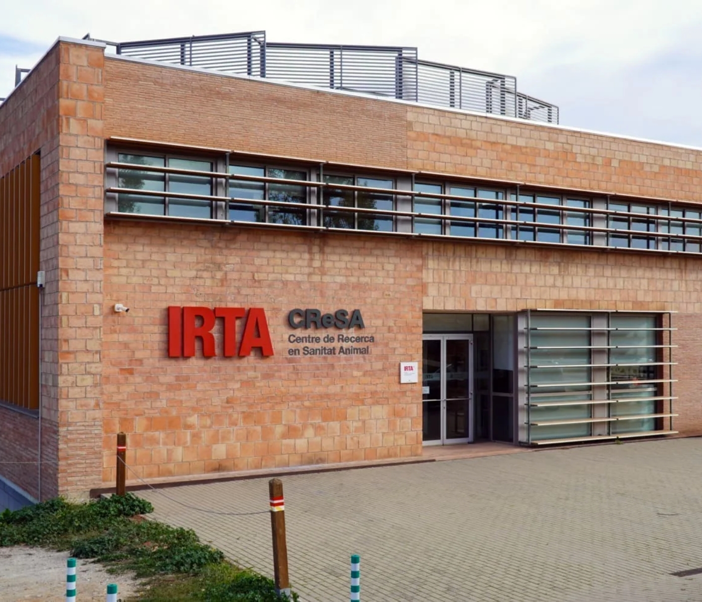 Cataluña publica las conclusiones de la auditoría del IRTA-CReSA tras la controversia por el origen de la PPA en España