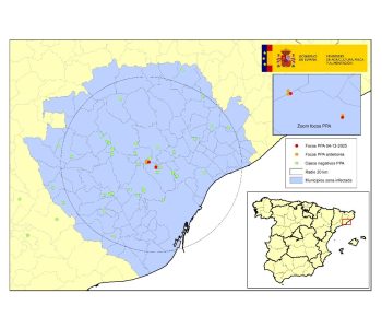 La aparición de dos nuevos focos de Peste Porcina Africana en Cataluña aumenta a 13 el número de jabalíes infectados confirmados.