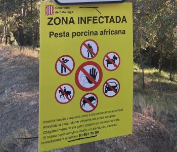 Cataluña ha planteado una primera teoría sobre el origen de la PPA y señala a un bocadillo con embutido deteriorado como posible causa.