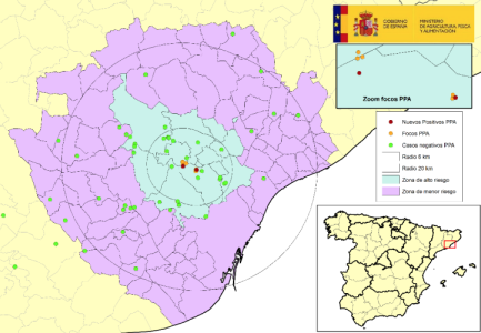 La Generalitat ha notificado la detección de dos nuevos focos secundarios de PPA en jabalíes, con 2 y 1 animales respectivamente.