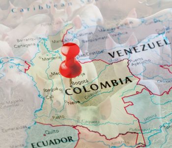 El sector porcino colombiano muestra crecimiento en 2025, con mayor oferta y precios presionados, según el análisis agropecuario reciente.