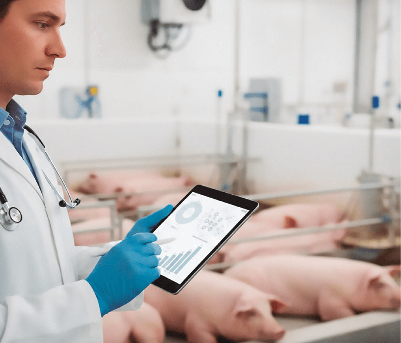 Vigilancia de resistencias en bacterias patógenas clínicas: herramienta clave para la prescripción responsable de antibióticos en veterinaria